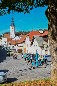 leskovec (81)